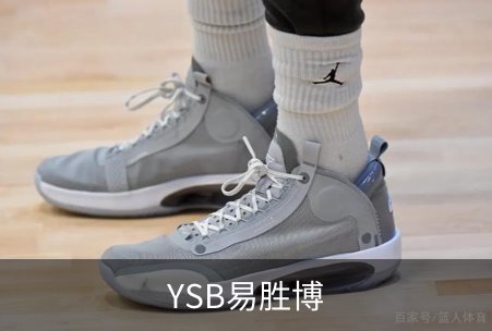 了解YSB易胜博