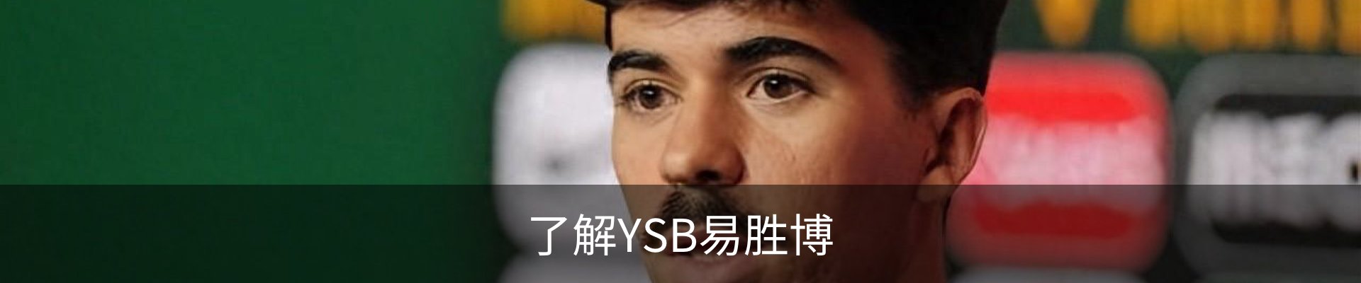 了解YSB易胜博